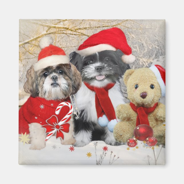 Shih Tzu & Teddy Bear Xmas Card Magnet (Front)