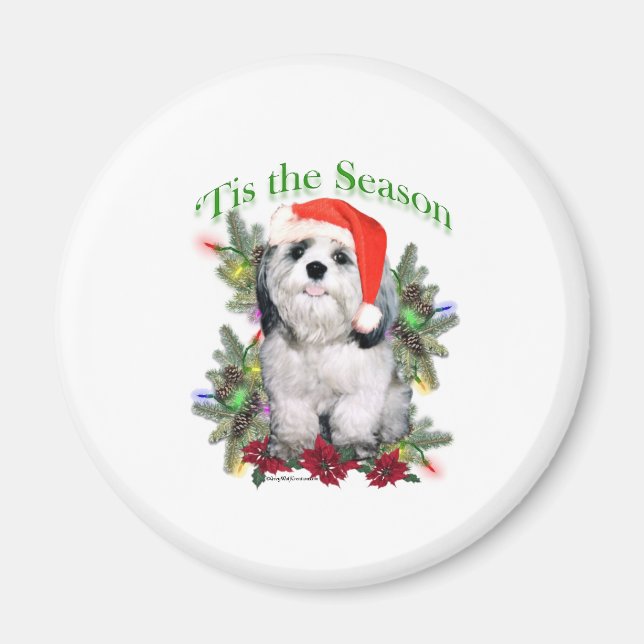 Shih Tzu ‘Tis Magnet (Front)