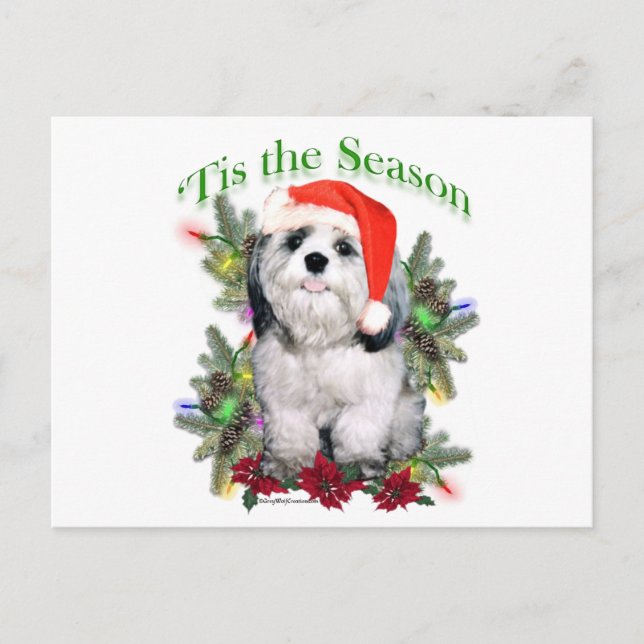 Shih Tzu ‘Tis Postcard (Front)