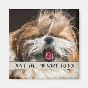 Shih tzu tongue funny Don't tell me what to do Magnet