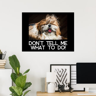 Shih tzu tongue funny Don't tell me what to do Poster