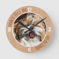 Shih tzu tongue funny Don't tell me what to do