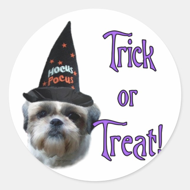 Shih Tzu Trick Classic Round Sticker (Front)
