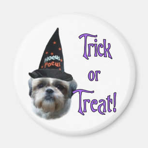 Shih Tzu Trick Magnet
