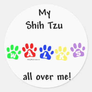 Shih Tzu Walks All Over You Classic Round Sticker