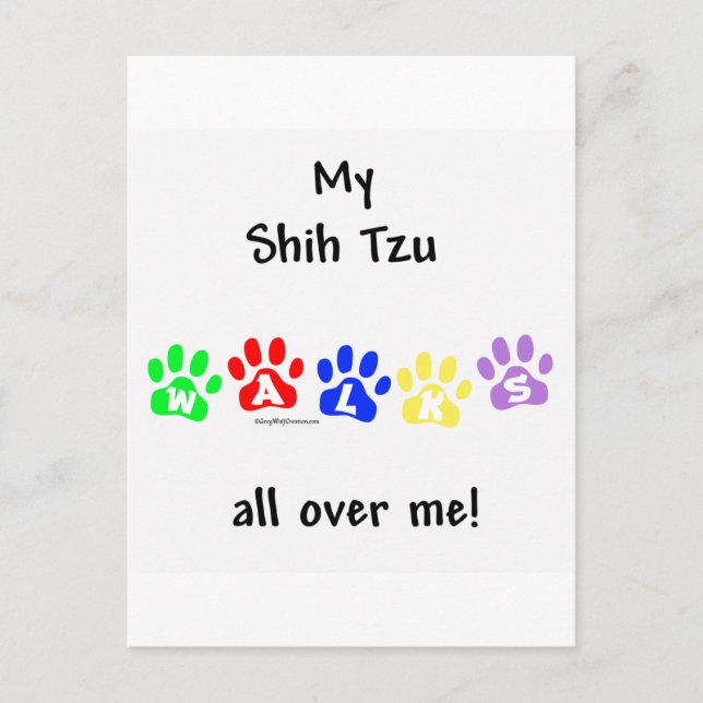 Shih Tzu Walks All Over You Postcard (Front)