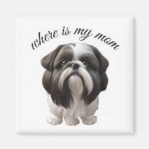 Shih Tzu - Where Is My Mum