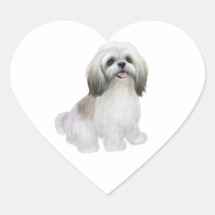 Shih Tzu - White with grey-tan Heart Sticker