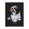 Shih Tzu With Rose