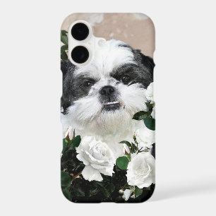 Shih Tzu with roses