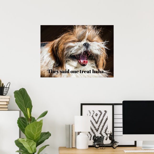 Shih tzu yawning laughing funny text customize poster (Home Office)