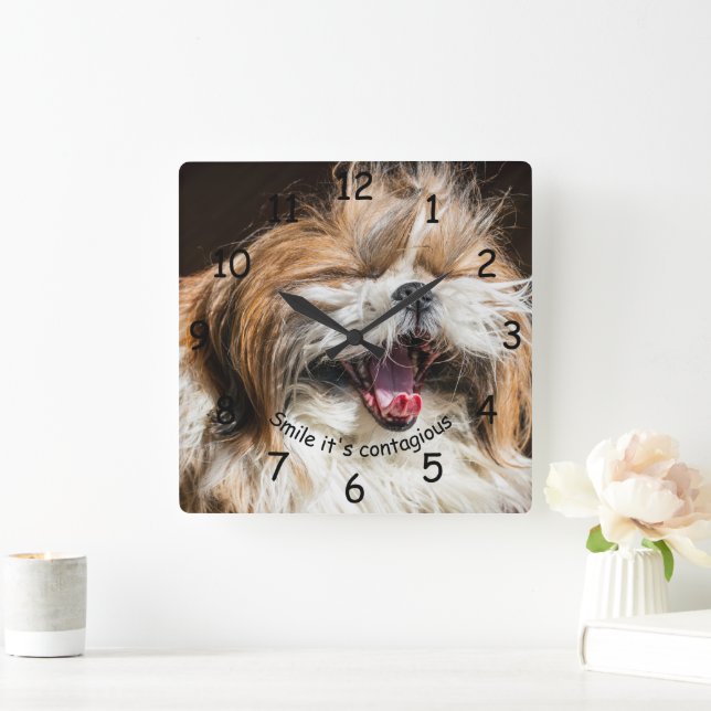 Shih tzu yawning laughing smile text customise square wall clock (Home)