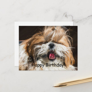 Shih tzu yawning tongue funny cute Happy birthday Postcard