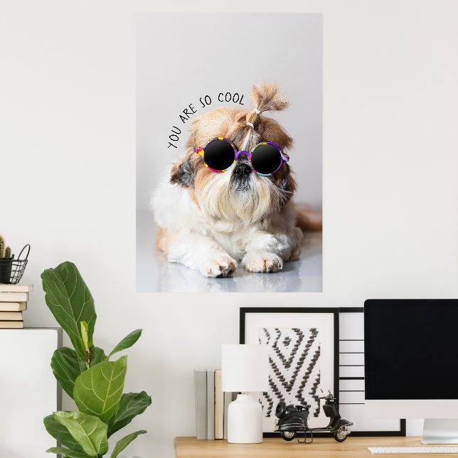 Shih Tzu You are so Cool cute fun Sunglasses Photo Poster (Home Office)