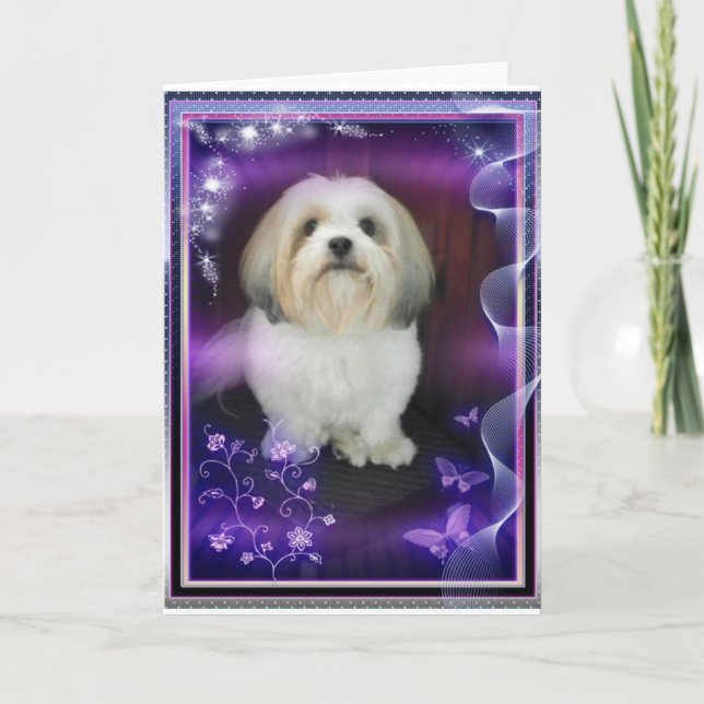 ShihTzu Greeting Card (Front)