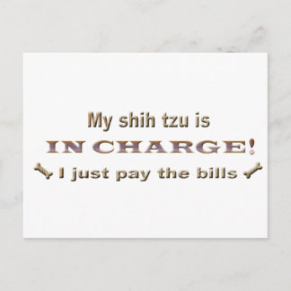 shihtzu postcard
