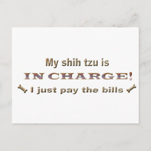 shihtzu postcard