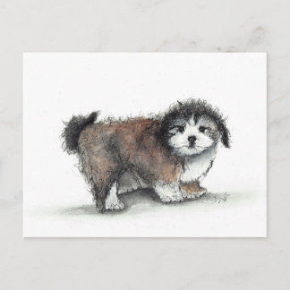 Shihtzu Puppy Dog, Pet Postcard
