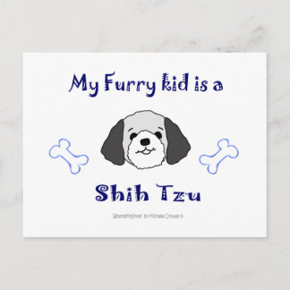 ShihTzuGreyWhite Postcard
