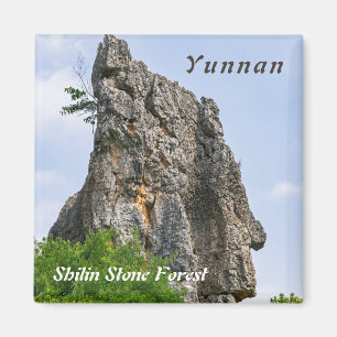 Shilin pinnacles Stone forest - Yunnan,China,Asia Magnet