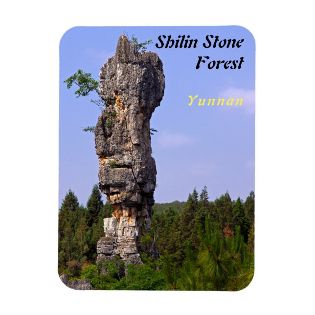 Shilin pinnacles Stone forest - Yunnan,China,Asia Magnet (Vertical)