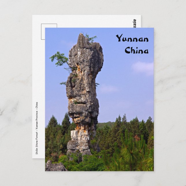 Shilin pinnacles Stone forest - Yunnan,China,Asia Postcard (Front/Back)