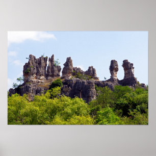 Shilin pinnacles Stone forest - Yunnan,China,Asia Poster