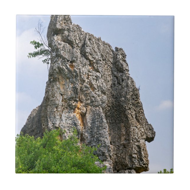 Shilin pinnacles Stone forest - Yunnan,China,Asia Tile (Front)