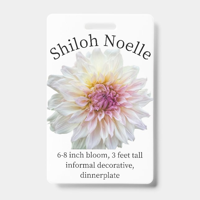 Shiloh Noelle Dahlia ID Badge (Front)