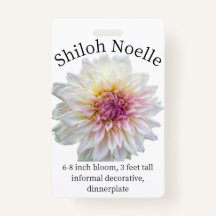 Shiloh Noelle Dahlia ID Badge