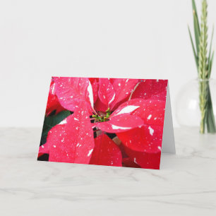 Shimmer Star Surprise Poinsettia Holiday Floral Card