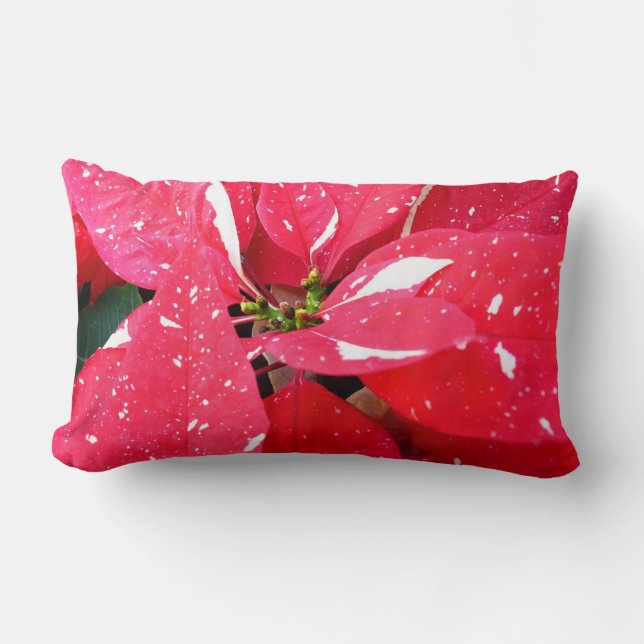 Shimmer Star Surprise Poinsettia Holiday Floral Lumbar Cushion (Front)