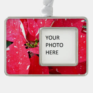 Shimmer Star Surprise Poinsettia Holiday Floral Silver Plated Framed Ornament