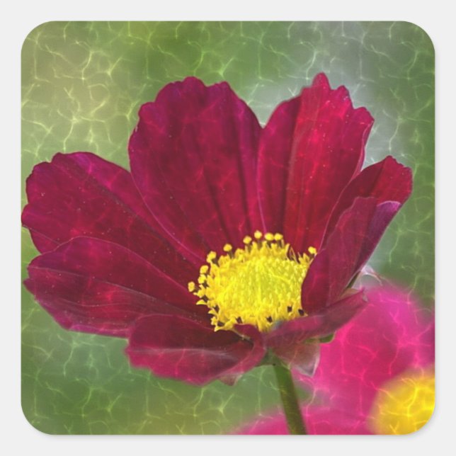 Shimmering Cosmos Square Sticker (Front)