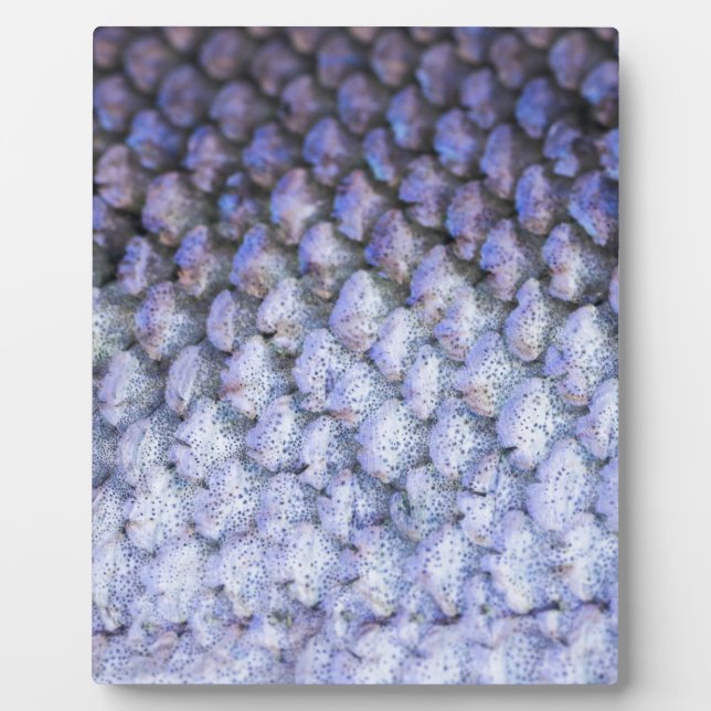 Shimmering Salmon Plaque (Front)