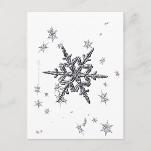 Shimmering Snowflake Postcard