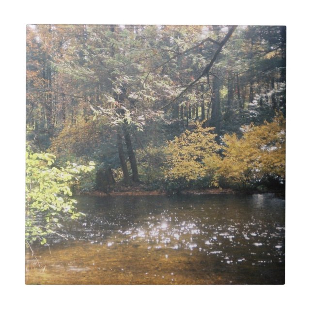 Shimmering Tile (Front)