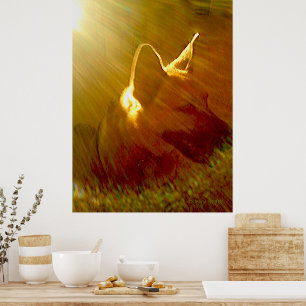 Shine On Me German Shepherd #1 Poster