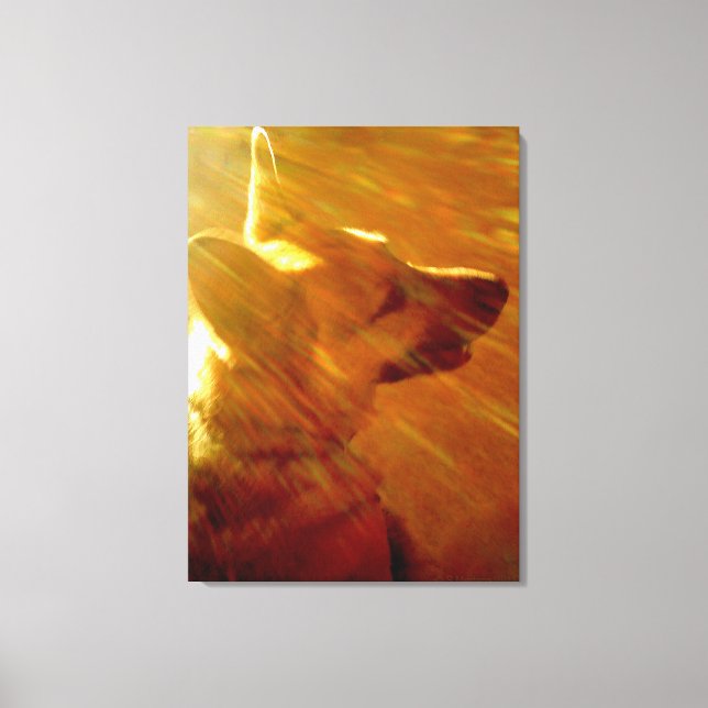 Shine On Me German Shepherd #2 Canvas Print (Front)