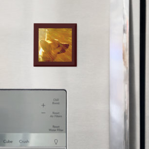 Shine On Me German Shepherd #2 Magnet