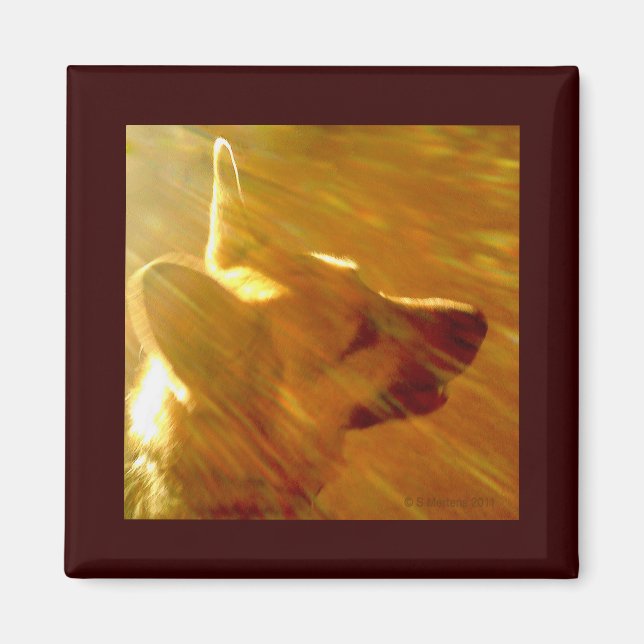 Shine On Me German Shepherd #2 Magnet (Front)
