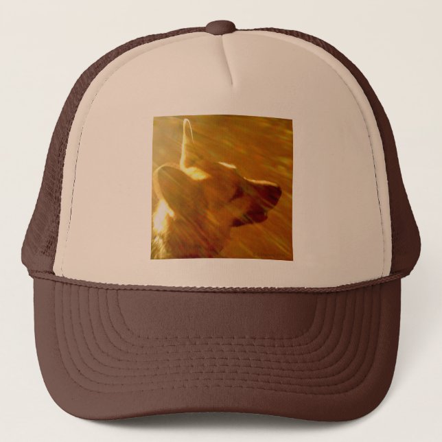 Shine On Me German Shepherd Black & Tan Trucker Hat (Front)