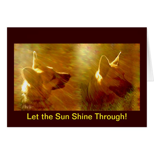 Shine On Me German Shepherd Get Well Card (Front Horizontal)