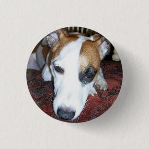 Shiner is bored 3 cm round badge