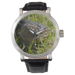 Shingleback Lizard Face,  Watch