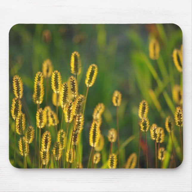 Shining Grass - Mousepad (Front)