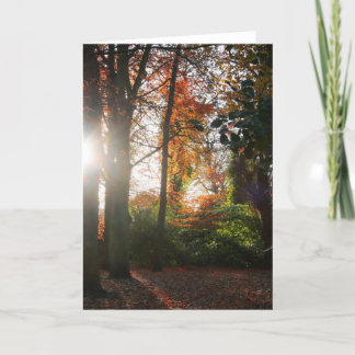 Shining Light Greetings & Note Card