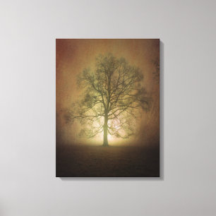 Shining Oak Tree Canvas Print