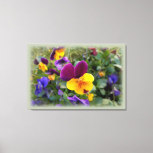 Shining pansies canvas print