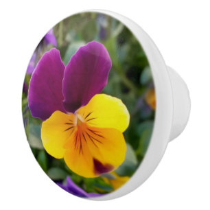 Shining pansies ceramic knob